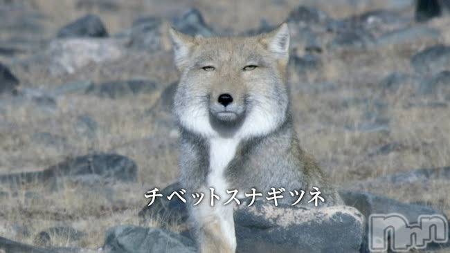 ��ˬ����Х��顦����֥���� �ץ���� ��ˬ(����� �ץ���� ����) ��2024ǯ11��19���̥�֥����ִ������Ǥ��͡ġġ�