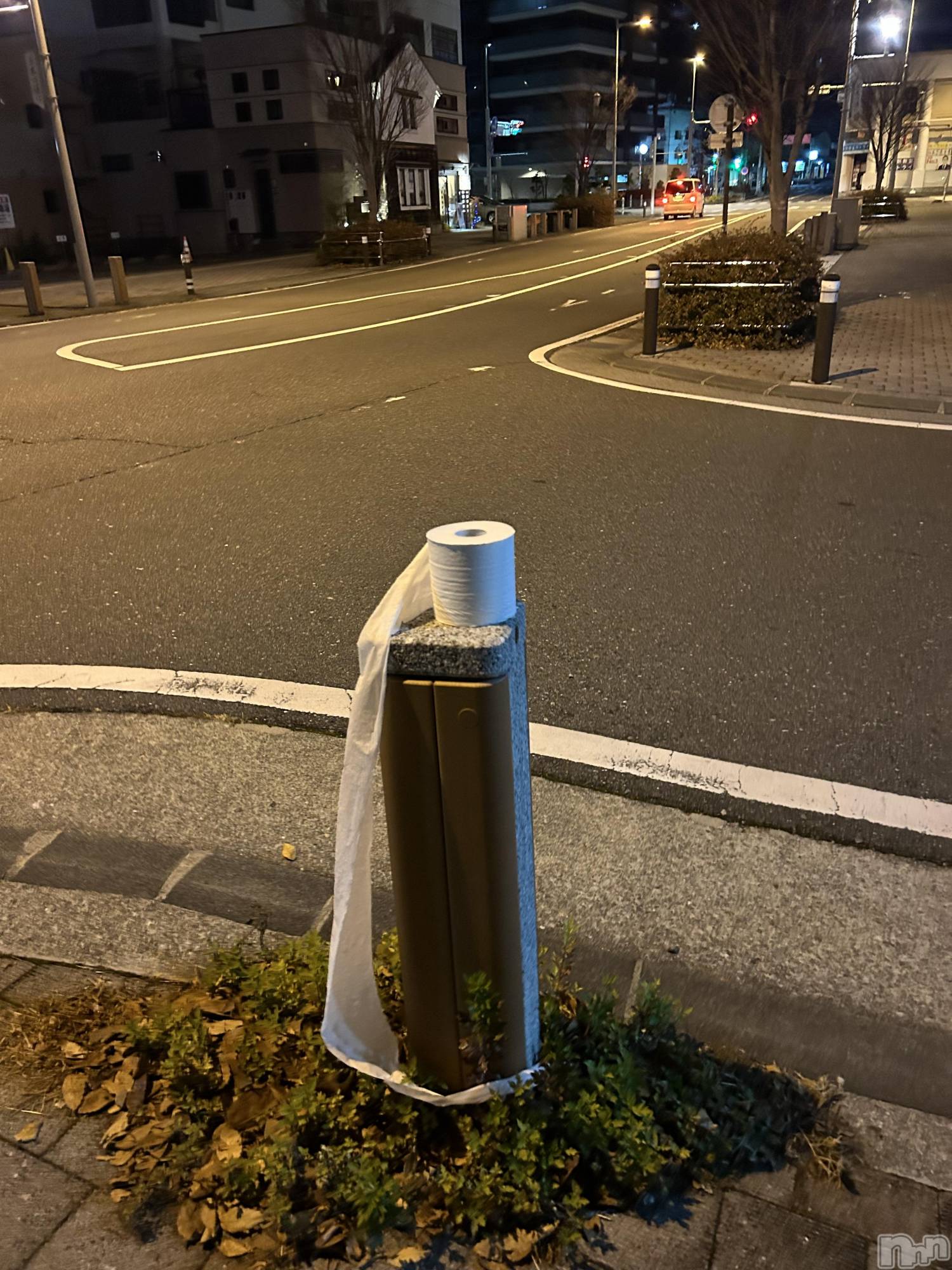 ��ˬ����Х��顦����֥���� �ץ���� ��ˬ(����� �ץ���� ����) ��2024ǯ12��3���̥�֥����ֽжФ��ޤ�������