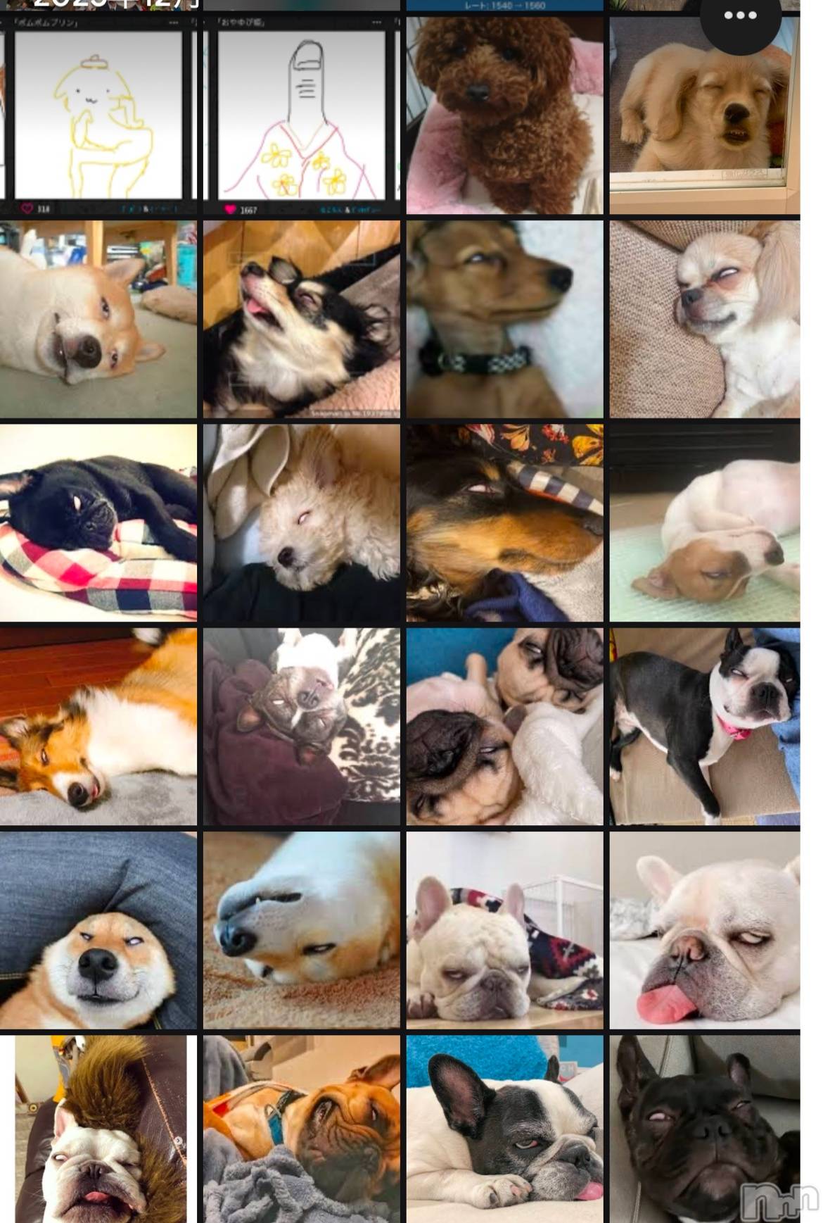 ��ˬ����Х��顦����֥���� �ץ���� ��ˬ(����� �ץ���� ����) ��2025ǯ1��8���̥�֥�����⛄❄��