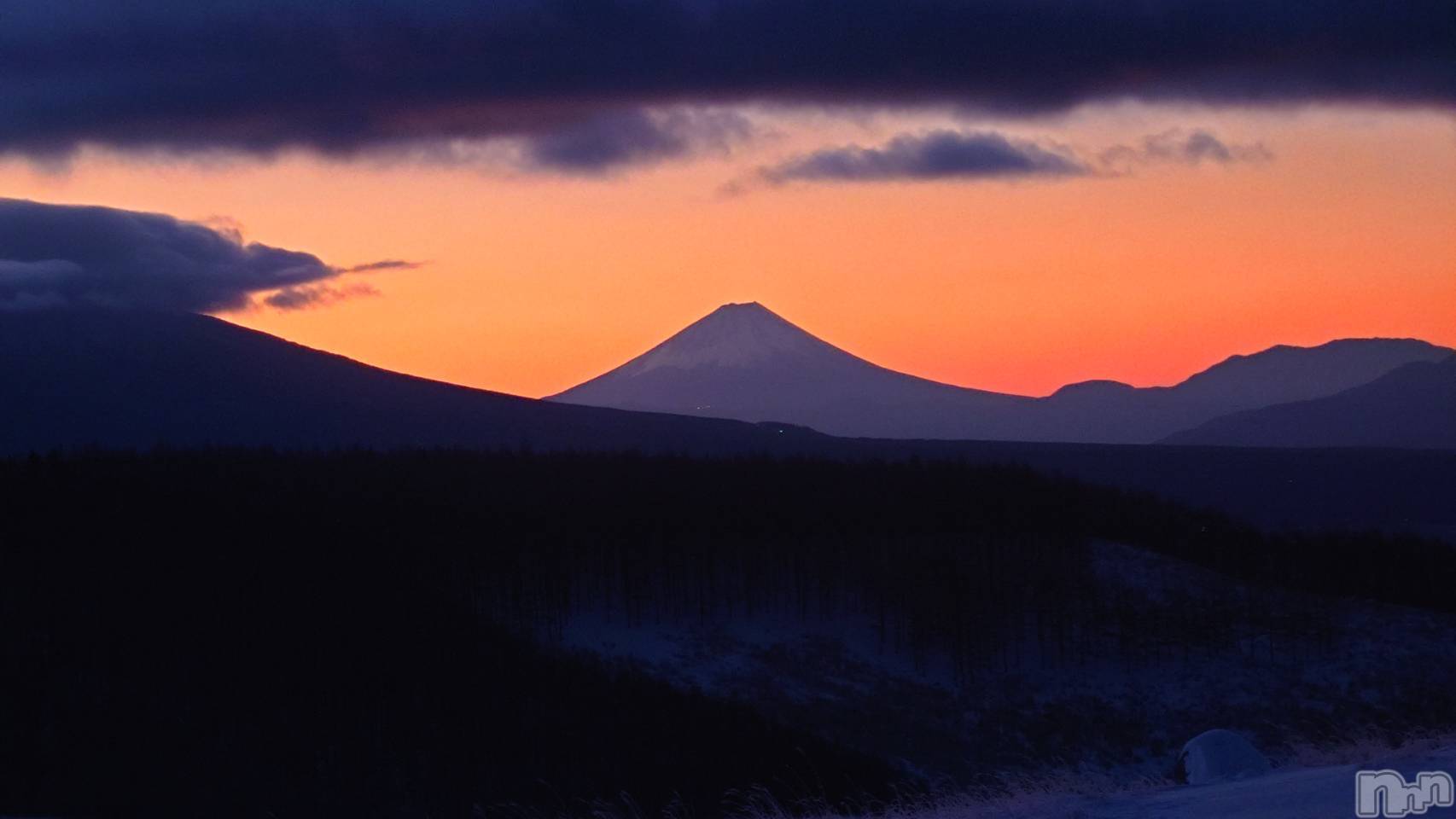 ��ˬ����Х��顦����֥���� �ץ���� ��ˬ(����� �ץ���� ����) ��2025ǯ1��15���̥�֥����֡�'''����