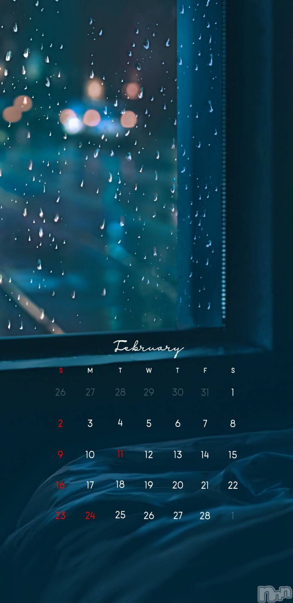 ��ˬ����Х��顦����֥���� �ץ���� ��ˬ(����� �ץ���� ����) ��2025ǯ2��1���̥�֥�����2���