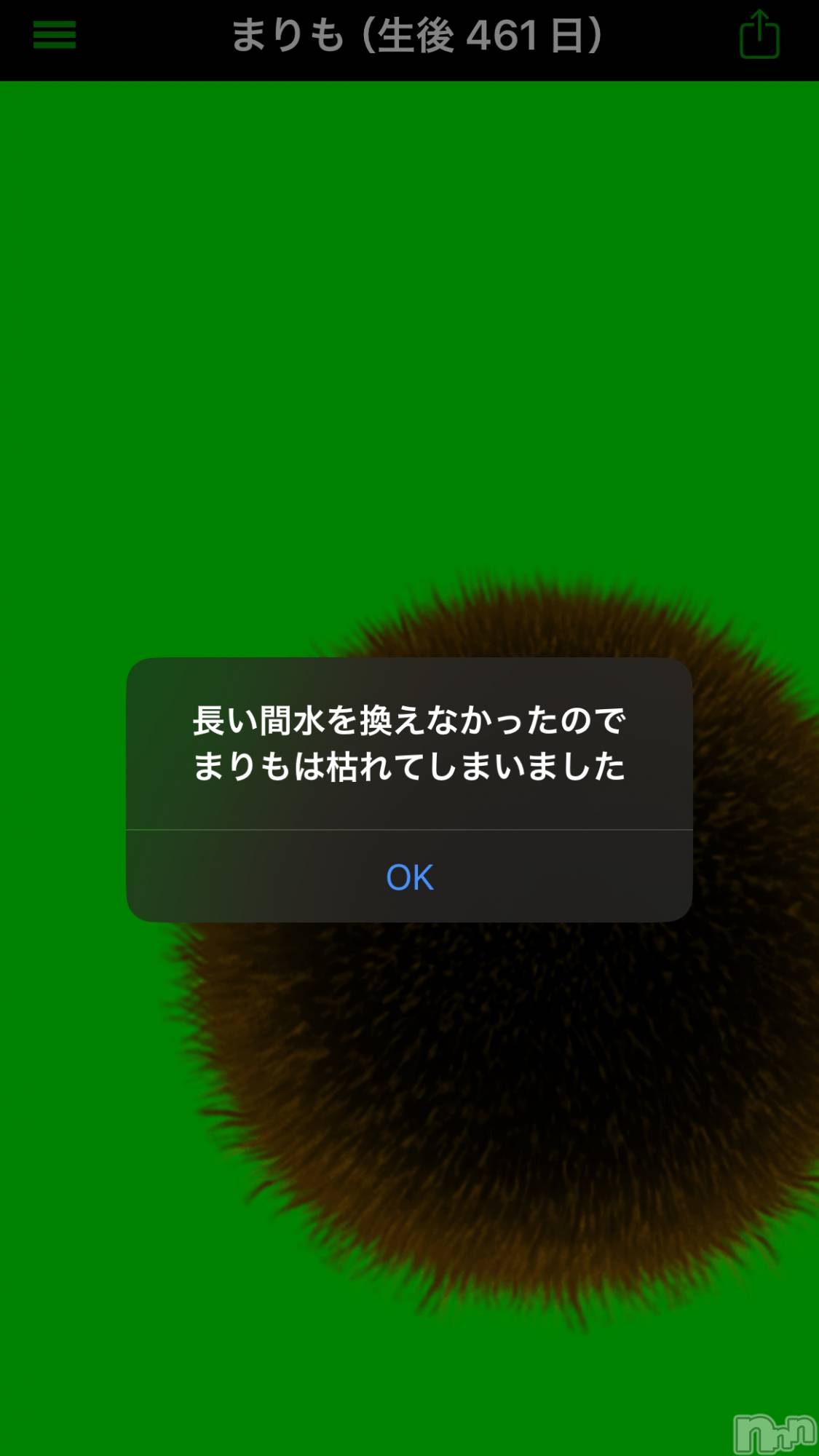 ��ˬ����Х��顦����֥���� �ץ���� ��ˬ(����� �ץ���� ����) ��2025ǯ2��18���̥�֥����֤ޤ���