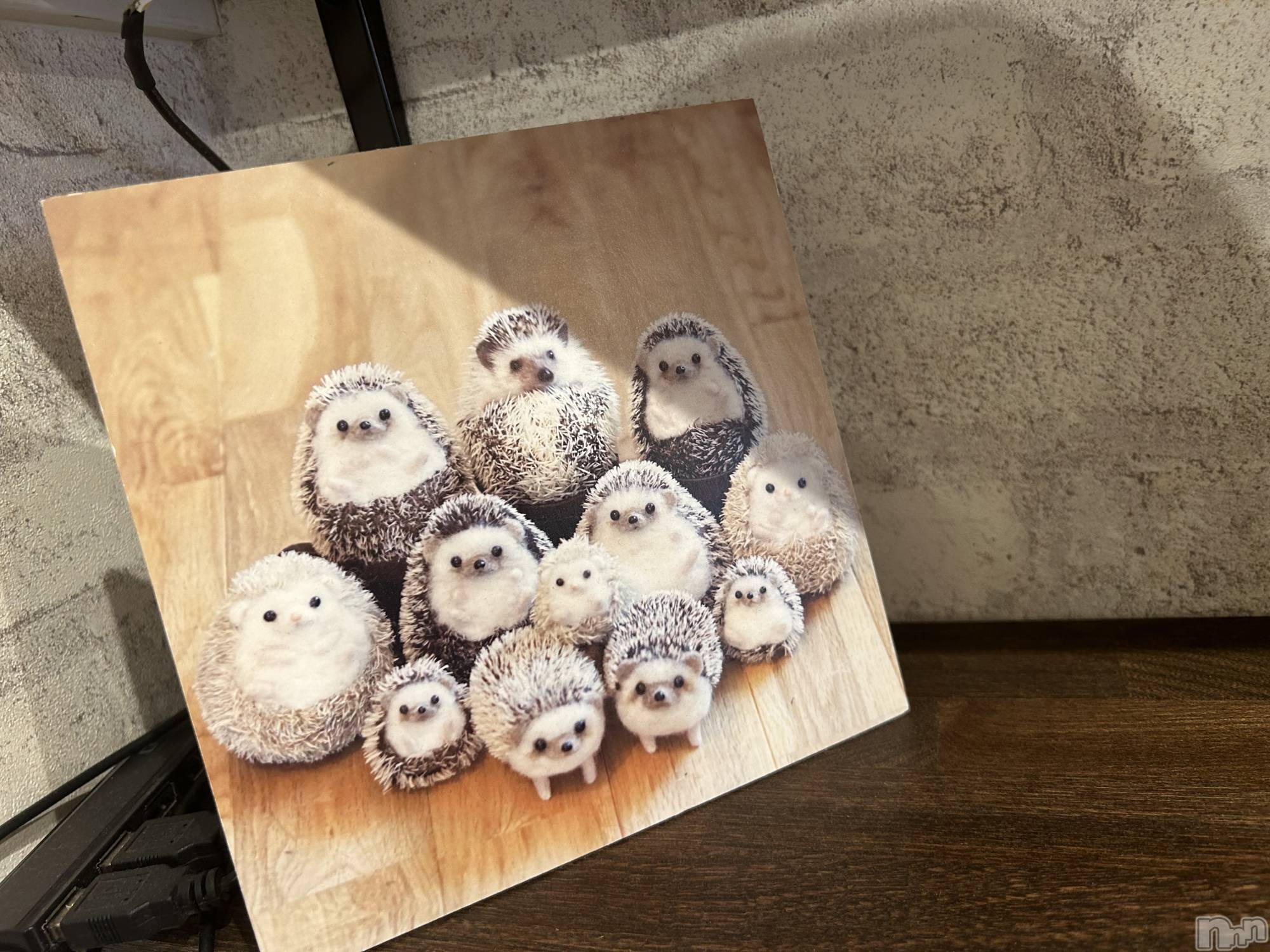 ��ˬ����Х��顦����֥���� �ץ���� ��ˬ(����� �ץ���� ����) ��2025ǯ2��22���̥�֥����ֻ�Ϣ�١���