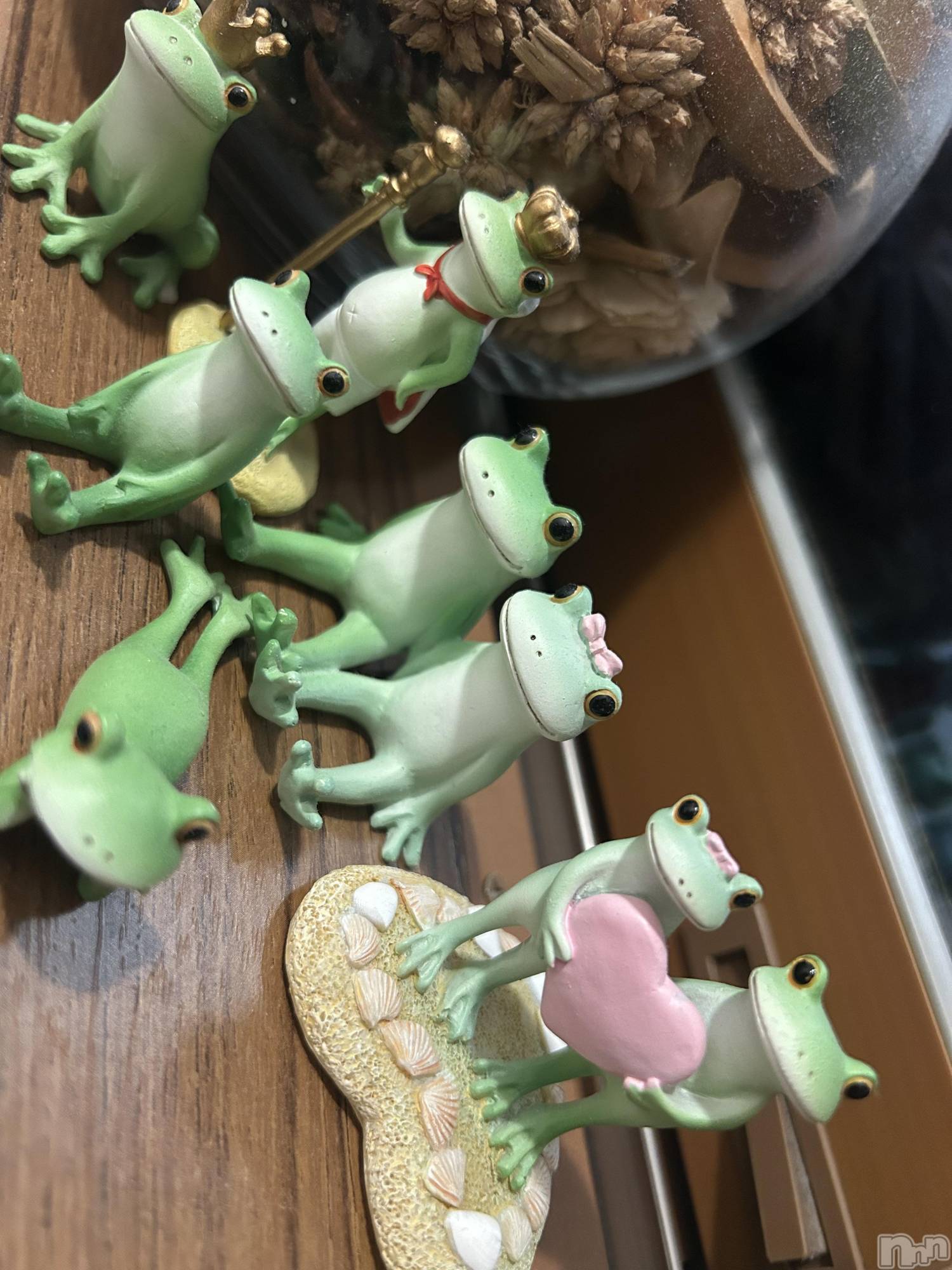 ��ˬ����Х��顦����֥���� �ץ���� ��ˬ(����� �ץ���� ����) ��2025ǯ5��19���̥�֥�����🐸⸝⸝꙳��