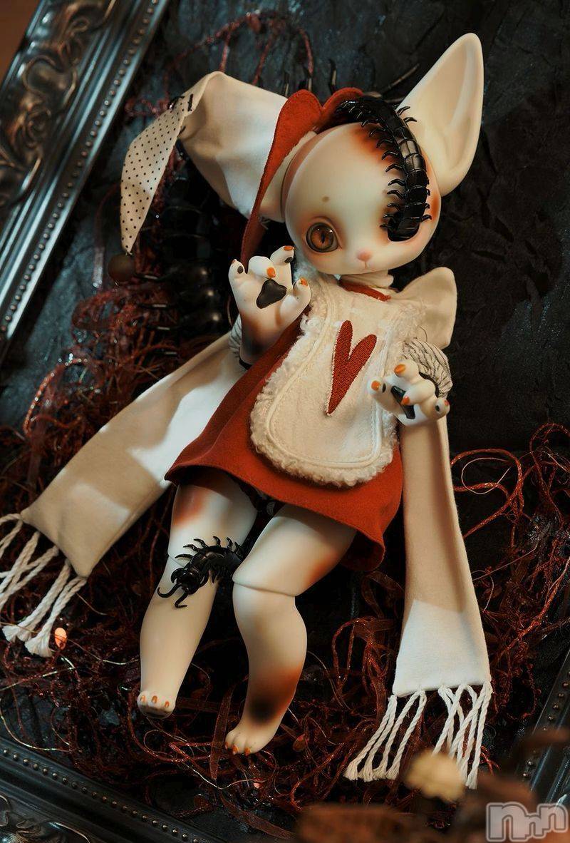 ��ˬ����Х��顦����֥���� �ץ���� ��ˬ(����� �ץ���� ����) ��2025ǯ6��16���̥�֥�����DOLL��