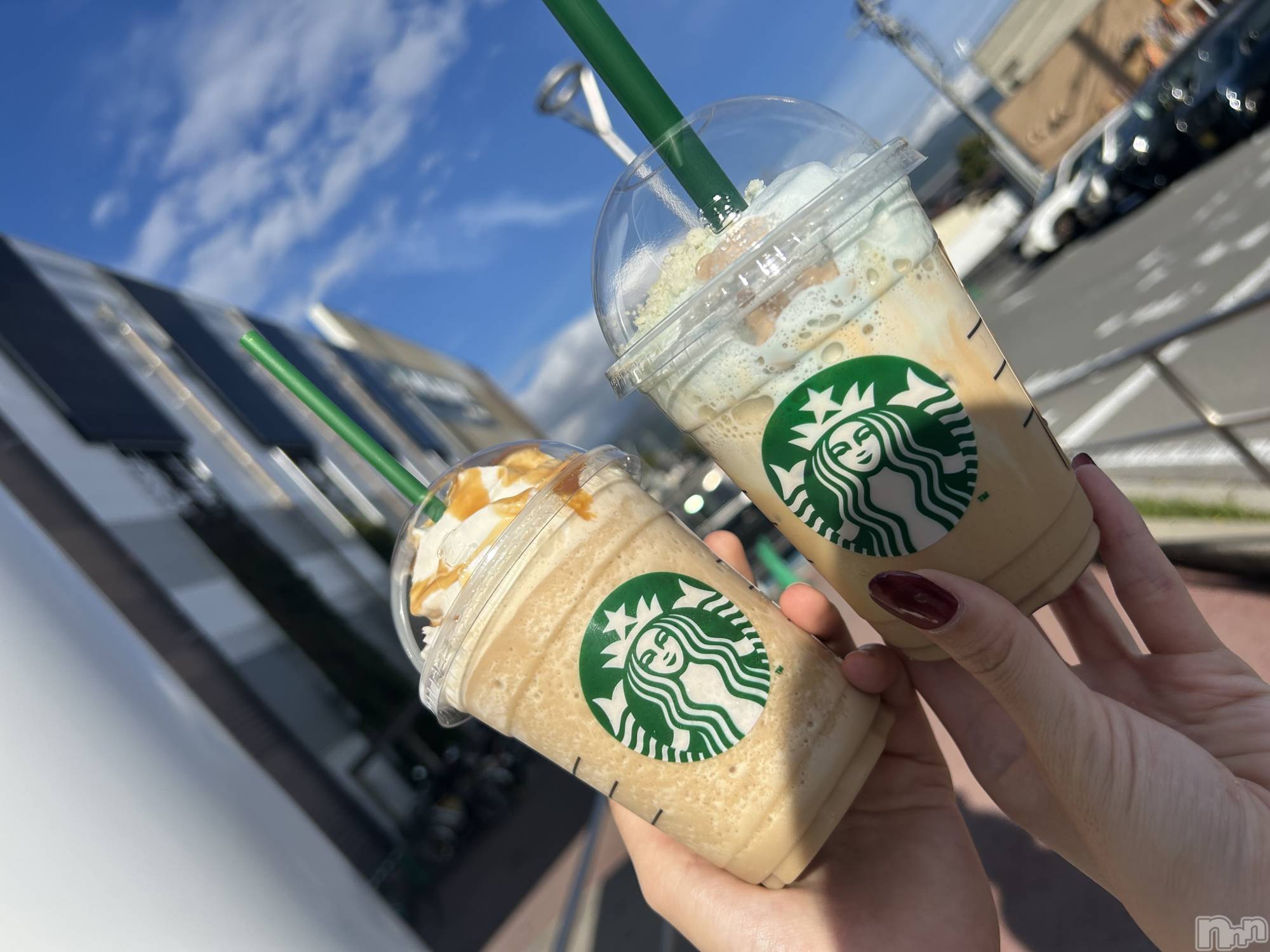 ��ˬ����Х��顦����֥���� �ץ���� ��ˬ(����� �ץ���� ����) ��2025ǯ10��10���̥�֥�����𖠚ᐝ��