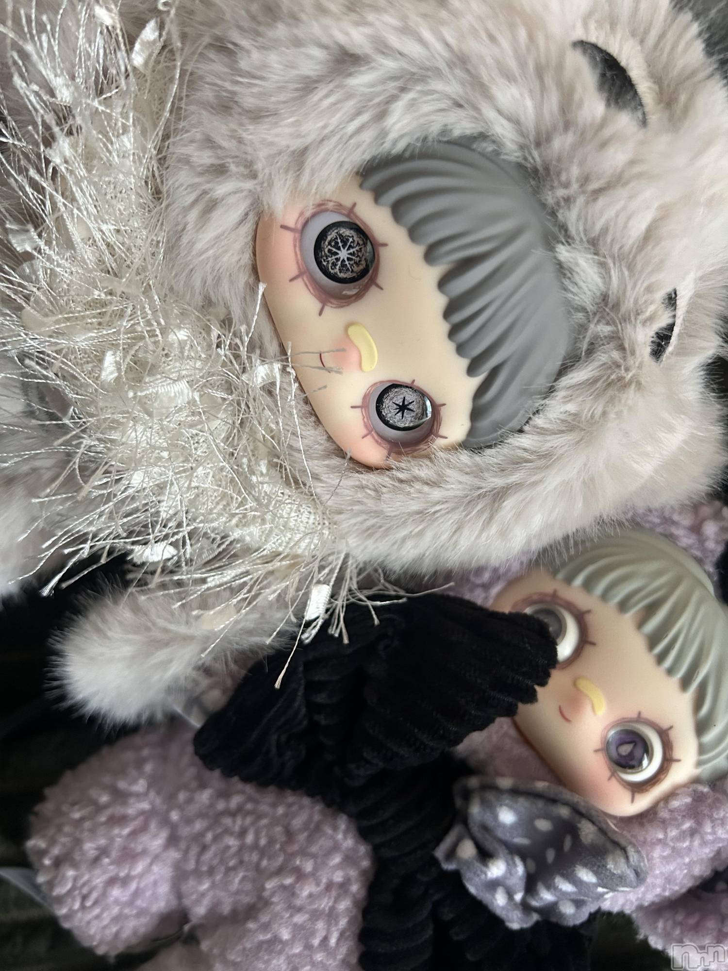 ��ˬ����Х��顦����֥���� �ץ���� ��ˬ(����� �ץ���� ����) ��2025ǯ11��28���̥�֥������������ա�