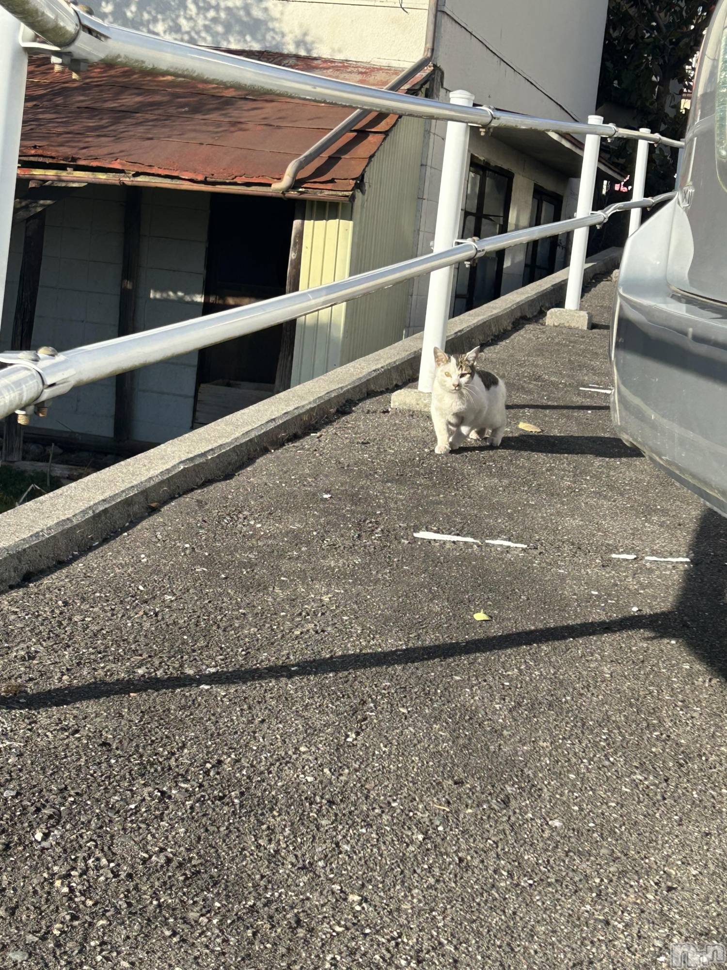 ��ˬ����Х��顦����֥���� �ץ���� ��ˬ(����� �ץ���� ����) ��2025ǯ12��12���̥�֥�����12��12�� 20��36ʬ�Υ֥�����