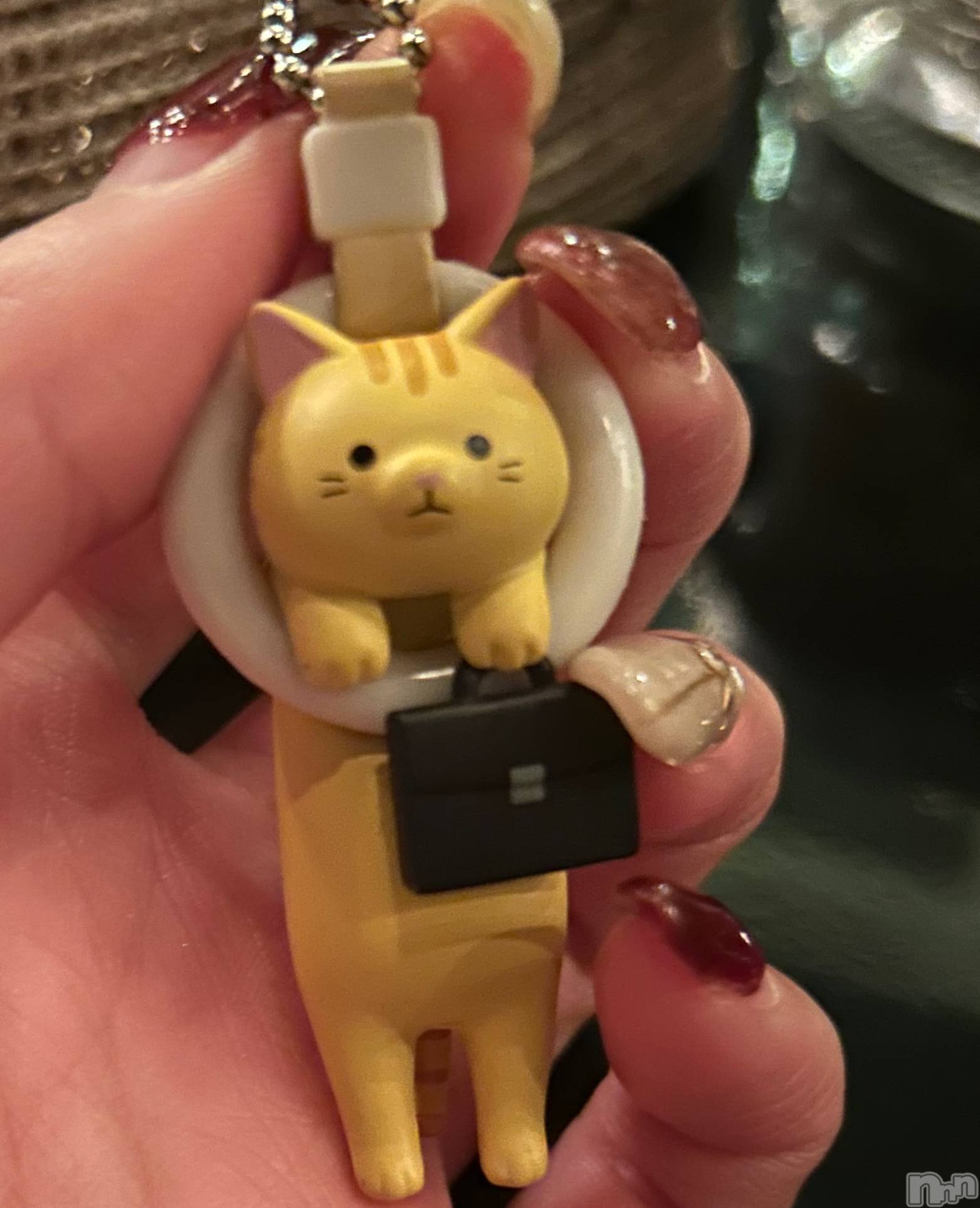 ��ˬ����Х��顦����֥���� �ץ���� ��ˬ(����� �ץ���� ����) ��2026ǯ1��23���̥�֥����֤ˤ��ˤ���