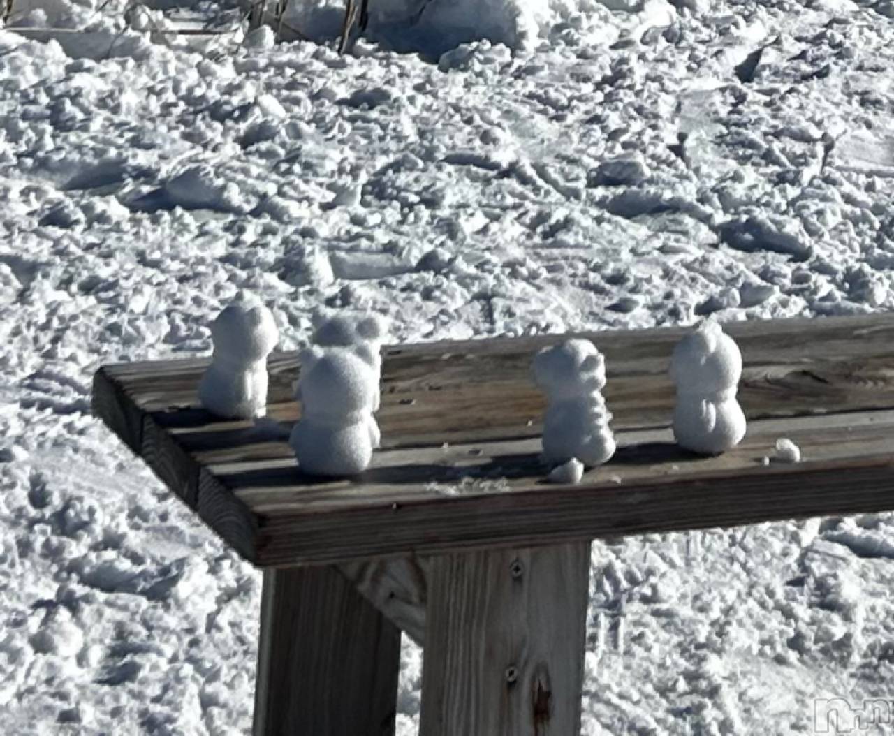 ��ˬ����Х��顦����֥���� �ץ���� ��ˬ(����� �ץ���� ����) ��2026ǯ2��8���̥�֥�������⛄️��