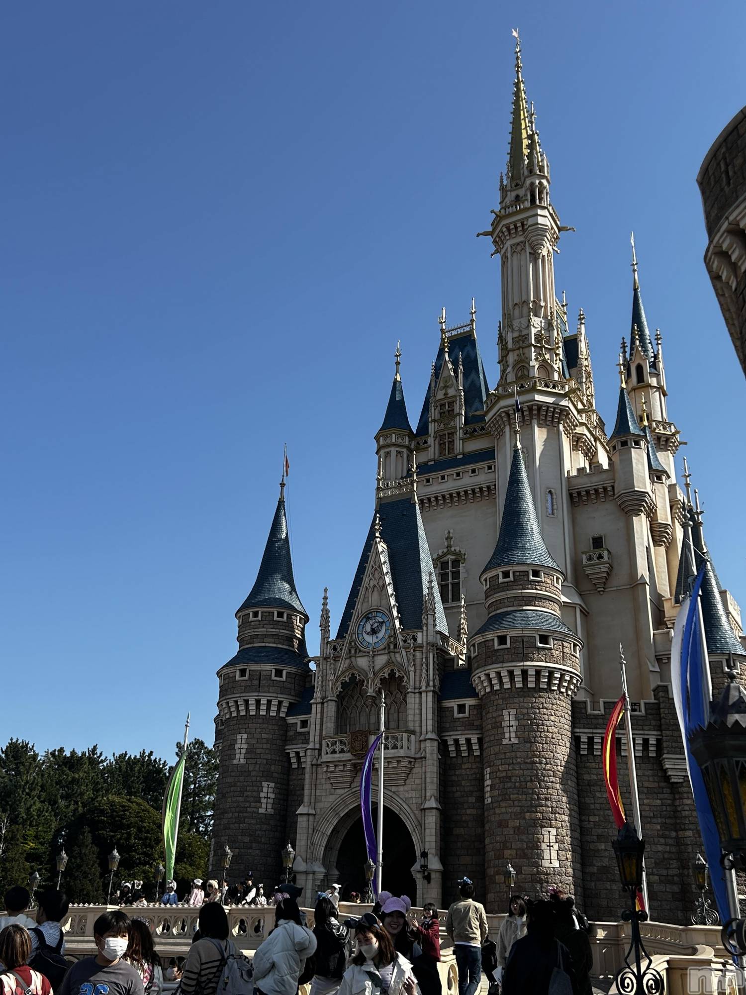 ��ˬ����Х��顦����֥���� �ץ���� ��ˬ(����� �ץ���� ����) ��2026ǯ3��3���̥�֥����ָ��¤���äƤ��ޤ�����