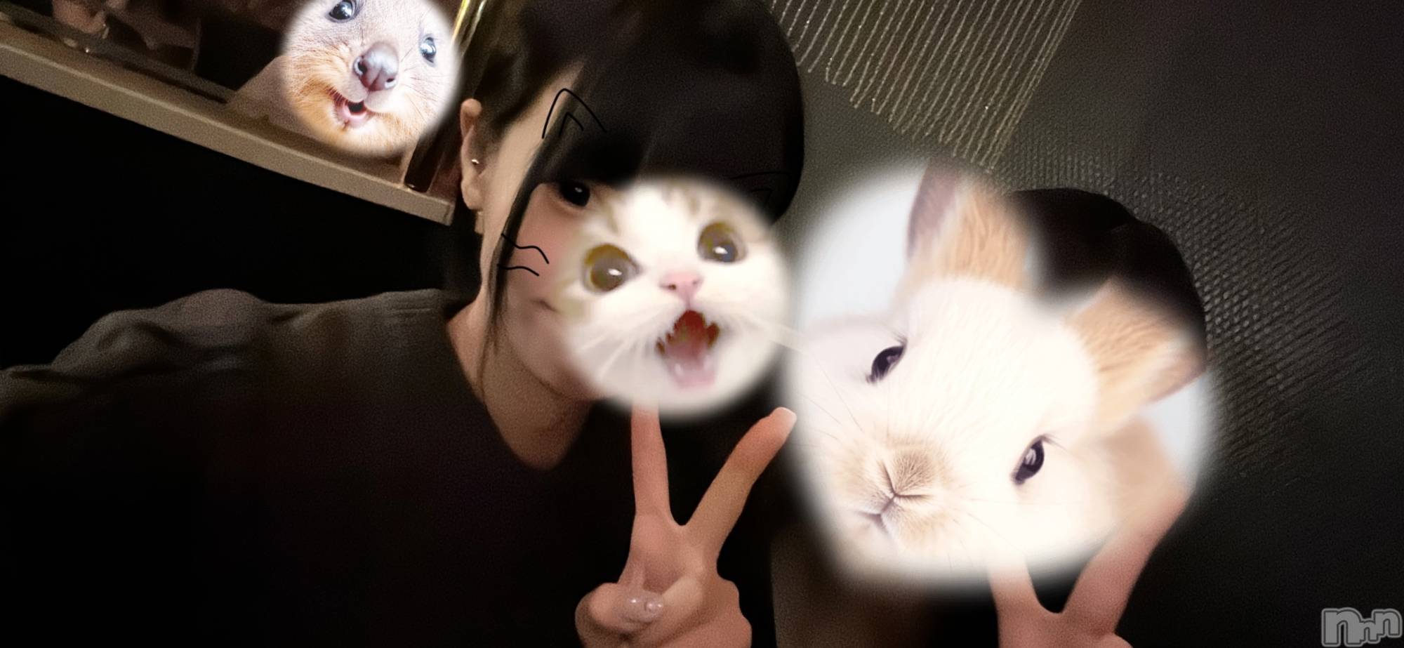 ��ˬ����Х��顦����֥���� �ץ���� ��ˬ(����� �ץ���� ����) ��2026ǯ4��16���̥�֥����ֺ����ν����💭��