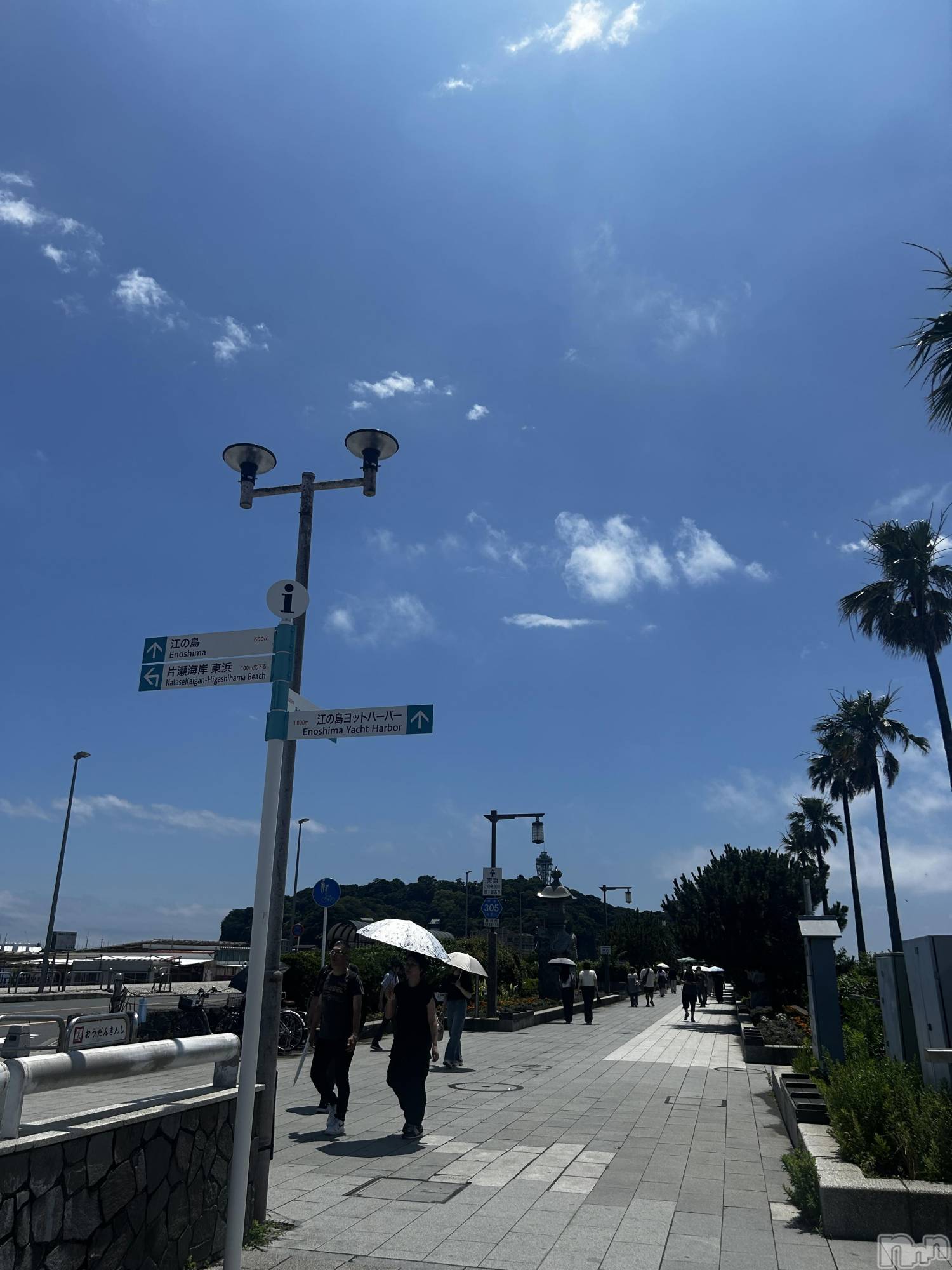 ��ˬ����Х��顦����֥���� �ץ���� ��ˬ(����� �ץ���� ����) ��2026ǯ6��21���̥�֥����ֹ������