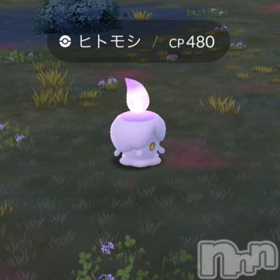 ��ˬ����Х��顦����֥���� �ץ���� ��ˬ(����� �ץ���� ����) �̰� �椤��5��23���̥�֥����֥ݥ����GO��