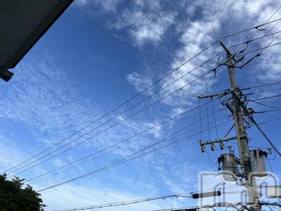 ��ˬ����Х��顦����֥���� �ץ���� ��ˬ(����� �ץ���� ����) �̰� �椤��6��1���̥�֥���������☀️�����