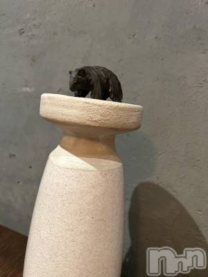 ��ˬ����Х��顦����֥���� �ץ���� ��ˬ(����� �ץ���� ����) �̰� �椤��6��5���̥�֥����ֺ�����1����