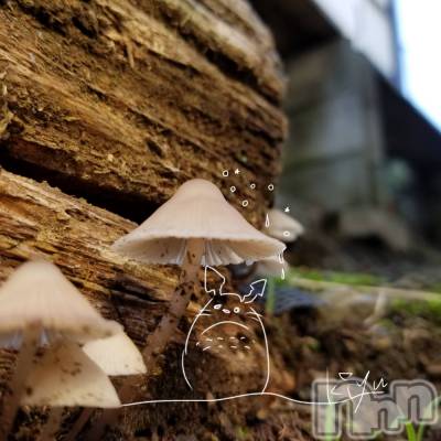 ��ˬ����Х��顦����֥���� �ץ���� ��ˬ(����� �ץ���� ����) �̰� �椤��6��6���̥�֥�����6��6�� 19��54ʬ�Υ֥�����