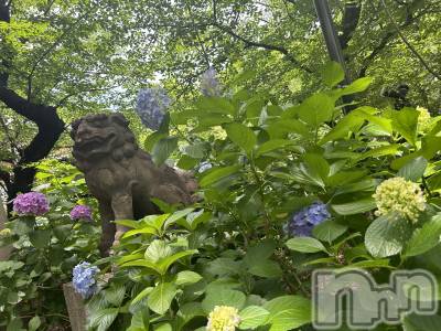 ��ˬ����Х��顦����֥���� �ץ���� ��ˬ(����� �ץ���� ����) �̰� �椤��6��13���̥�֥�����💠🌿‬ ܸ��