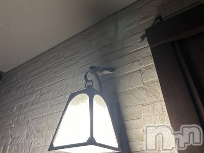 ��ˬ����Х��顦����֥���� �ץ���� ��ˬ(����� �ץ���� ����) �̰� �椤��6��21���̥�֥�����☾⋆·̩͙⑅*��