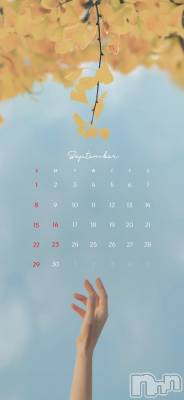 ��ˬ����Х��顦����֥���� �ץ���� ��ˬ(����� �ץ���� ����) �̰� �椤��9��3���̥�֥�����9��Ǥ��͡���