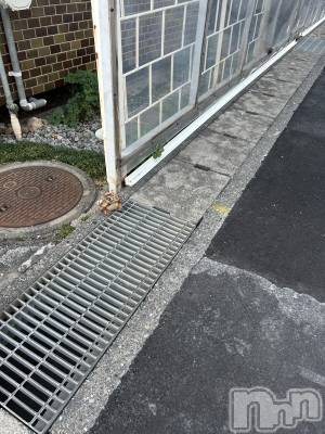 ��ˬ����Х��顦����֥���� �ץ���� ��ˬ(����� �ץ���� ����) �̰� �椤��9��26���̥�֥�����🐸³₃��