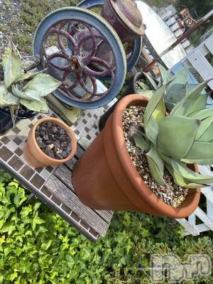 ��ˬ����Х��顦����֥���� �ץ���� ��ˬ(����� �ץ���� ����) �̰� �椤��10��10���̥�֥�����🤍🪸��