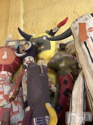 ��ˬ����Х��顦����֥���� �ץ���� ��ˬ(����� �ץ���� ����) �̰� �椤��10��15���̥�֥����ֽжС���