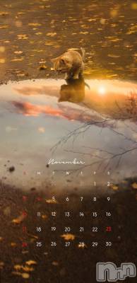 ��ˬ����Х��顦����֥���� �ץ���� ��ˬ(����� �ץ���� ����) �̰� �椤��11��1���̥�֥�����ℕ𝕠𝕧𝕖𝕞𝕓𝕖𝕣��