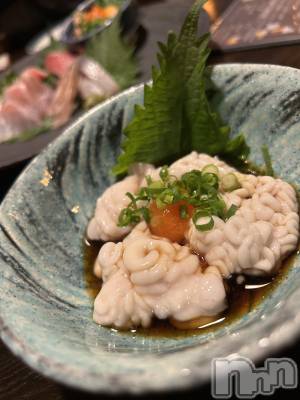 ��ˬ����Х��顦����֥���� �ץ���� ��ˬ(����� �ץ���� ����) �̰� �椤��11��12���̥�֥�����꒰ ᐡ- �� - ᐡ ꒱��