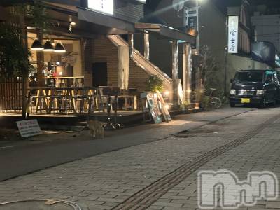 ��ˬ����Х��顦����֥���� �ץ���� ��ˬ(����� �ץ���� ����) �̰� �椤��12��16���̥�֥�����12��16�� 19��30ʬ�Υ֥�����