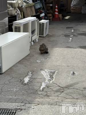 ��ˬ����Х��顦����֥���� �ץ���� ��ˬ(����� �ץ���� ����) �̰� �椤��2��12���̥�֥�����^_  ̫_^��