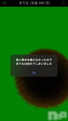 ��ˬ����Х��顦����֥���� �ץ���� ��ˬ(����� �ץ���� ����) �̰� �椤��2��18���̥�֥����֤ޤ���