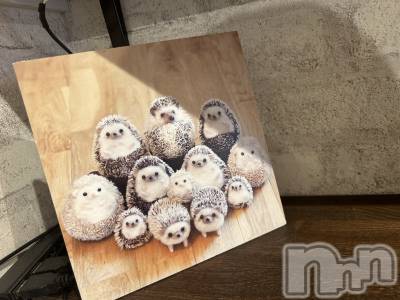 ��ˬ����Х��顦����֥���� �ץ���� ��ˬ(����� �ץ���� ����) �̰� �椤��2��22���̥�֥����ֻ�Ϣ�١���