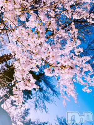 ��ˬ����Х��顦����֥���� �ץ���� ��ˬ(����� �ץ���� ����) �̰� �椤��4��18���̥�֥����ֽжФ��Ƥޤ��ġ�