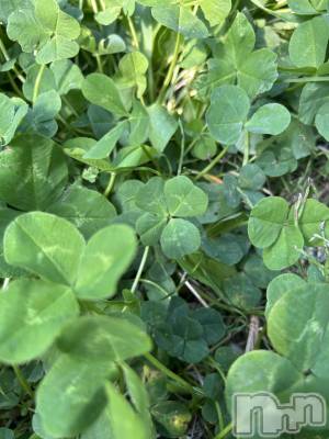 ��ˬ����Х��顦����֥���� �ץ���� ��ˬ(����� �ץ���� ����) �̰� �椤��5��9���̥�֥�����🍀 ̖́-��