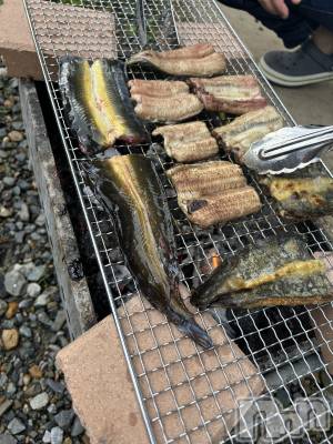 ��ˬ����Х��顦����֥���� �ץ���� ��ˬ(����� �ץ���� ����) �̰� �椤��5��17���̥�֥����֢�(������)�� ���Ŏ��ގ���