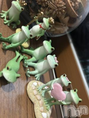 ��ˬ����Х��顦����֥���� �ץ���� ��ˬ(����� �ץ���� ����) �̰� �椤��5��19���̥�֥�����🐸⸝⸝꙳��