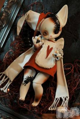 ��ˬ����Х��顦����֥���� �ץ���� ��ˬ(����� �ץ���� ����) �̰� �椤��6��16���̥�֥�����DOLL��