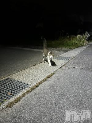 ��ˬ����Х��顦����֥���� �ץ���� ��ˬ(����� �ץ���� ����) �̰� �椤��6��26���̥�֥����֤ˤ㡼���