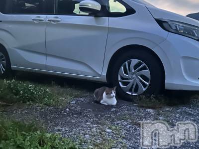 ��ˬ����Х��顦����֥���� �ץ���� ��ˬ(����� �ץ���� ����) �̰� �椤��7��25���̥�֥�����🐱ྀི🐱ྀི🐱ྀི��