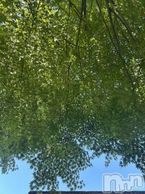 ��ˬ����Х��顦����֥���� �ץ���� ��ˬ(����� �ץ���� ����) �̰� �椤��9��24���̥�֥�����- ̗̀🌱- ̗̀🌱- ̗̀🌱��