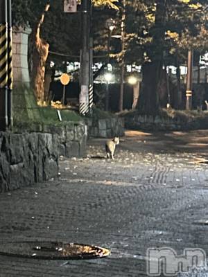 ��ˬ����Х��顦����֥���� �ץ���� ��ˬ(����� �ץ���� ����) �̰� �椤��10��21���̥�֥�����😖🍃��