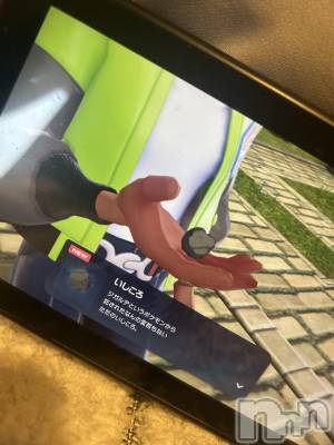 ��ˬ����Х��顦����֥���� �ץ���� ��ˬ(����� �ץ���� ����) �̰� �椤��11��12���̥�֥�����ᐡ-ﻌ•ᐡ🐾��