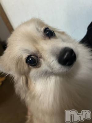 ��ˬ����Х��顦����֥���� �ץ���� ��ˬ(����� �ץ���� ����) �̰� �椤��11��15���̥�֥�����🌳𓂅𓂅︎︎︎︎︎︎︎︎︎︎︎︎︎︎��