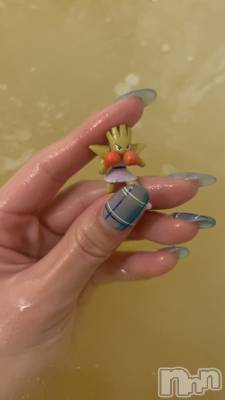 ��ˬ����Х��顦����֥���� �ץ���� ��ˬ(����� �ץ���� ����) �̰� �椤��11��22���̥�֥�����🥊��