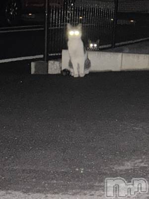 ��ˬ����Х��顦����֥���� �ץ���� ��ˬ(����� �ץ���� ����) �̰� �椤��11��25���̥�֥������ɤ����Ȱ������ȡ�