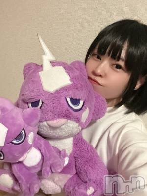 ��ˬ����Х��顦����֥���� �ץ���� ��ˬ(����� �ץ���� ����) �̰� �椤��12��5���̥�֥����֤��󤺡����