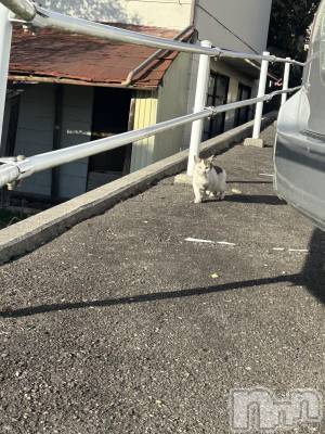 ��ˬ����Х��顦����֥���� �ץ���� ��ˬ(����� �ץ���� ����) �̰� �椤��12��12���̥�֥�����12��12�� 20��36ʬ�Υ֥�����