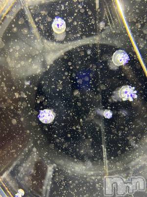 ��ˬ����Х��顦����֥���� �ץ���� ��ˬ(����� �ץ���� ����) �̰� �椤��2��5���̥�֥�����🩵ྀི🪼ྀི🩵ྀི��