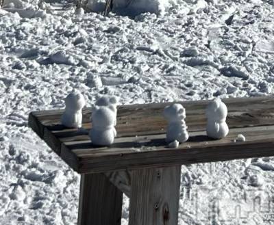 ��ˬ����Х��顦����֥���� �ץ���� ��ˬ(����� �ץ���� ����) �̰� �椤��2��8���̥�֥�������⛄️��